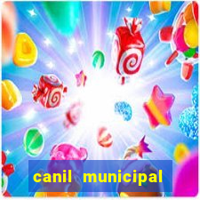 canil municipal porto alegre